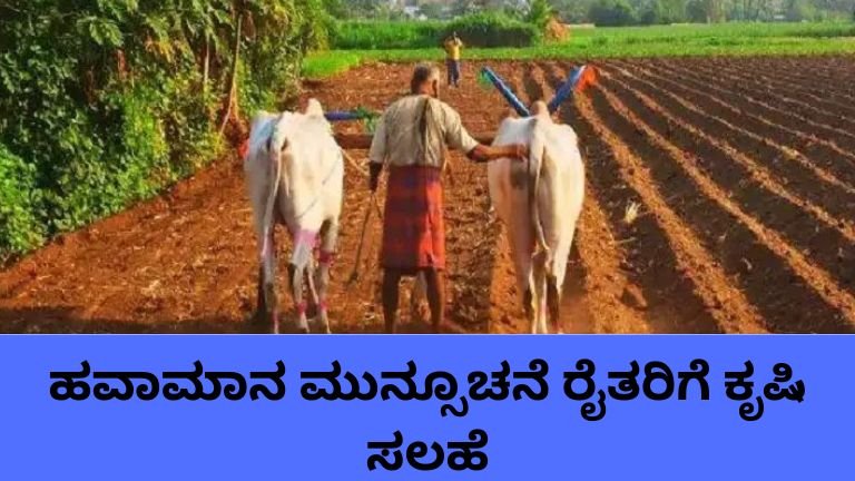ಹವಾಮಾನ ಮುನ್ಸೂಚನೆ ಹಿನ್ನೆಲೆಯಲ್ಲಿ ರೈತರಿಗೆ ಕೃಷಿ ಸಲಹೆಗಳು.