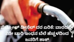 ಪೆಟ್ರೋಲ್ ಡೀಸೆಲ್ ದರ ಏರಿಕೆ ಹಿನ್ನೆಲೆ ಪೆಟ್ರೋಲ್ ಬಂಕ್‌ನಲ್ಲಿ ವಾಹನಗಳ ಸಾಲು.