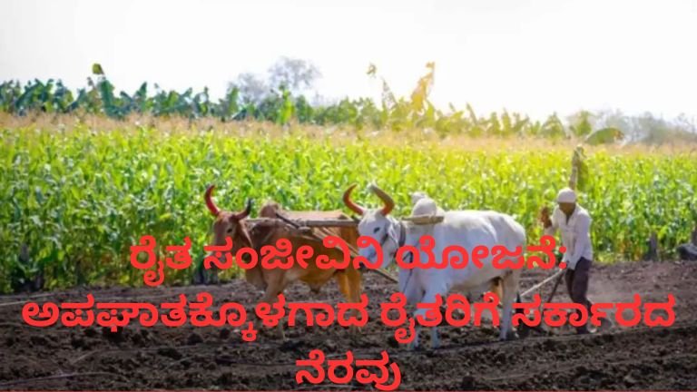 ರೈತ ಸಂಜೀವಿನಿ ಯೋಜನೆಯಡಿ ಅಪಘಾತಕ್ಕೊಳಗಾದ ರೈತರಿಗೆ ಸರ್ಕಾರದ ಆರ್ಥಿಕ ನೆರವು.