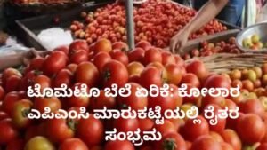 ಟೊಮೆಟೊ ಬೆಲೆ ಏರಿಕೆ ಹಿನ್ನೆಲೆ ಕೋಲಾರ ಎಪಿಎಂಸಿ ಮಾರುಕಟ್ಟೆಯಲ್ಲಿ ಟೊಮೆಟೊ ಮಾರಾಟ ಮಾಡುತ್ತಿರುವ ರೈತರು