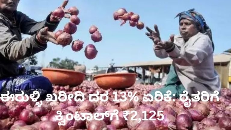 ಈರುಳ್ಳಿ ಖರೀದಿ ದರ 13% ಏರಿಕೆ - ರೈತರಿಗೆ ಪ್ರತಿ ಕ್ವಿಂಟಾಲ್‌ಗೆ ₹2,125